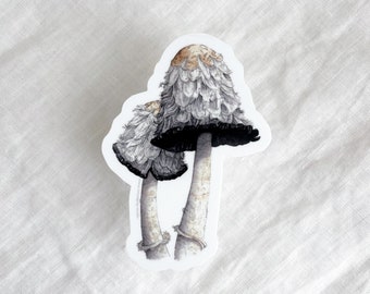 Shaggy Mane Mushrooms Sticker