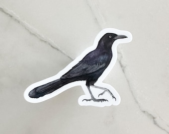 Grackle Sticker