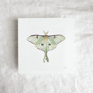 Miniprint maanmot 5 x 5 inch