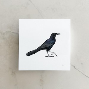 Grackle Print 8x8