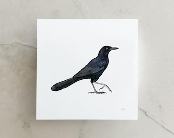 Grackle Print 8x8