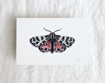 Virgin Tiger Moth Mini Print 4x6