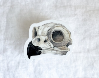 Great Horned Owl Skull Sticker