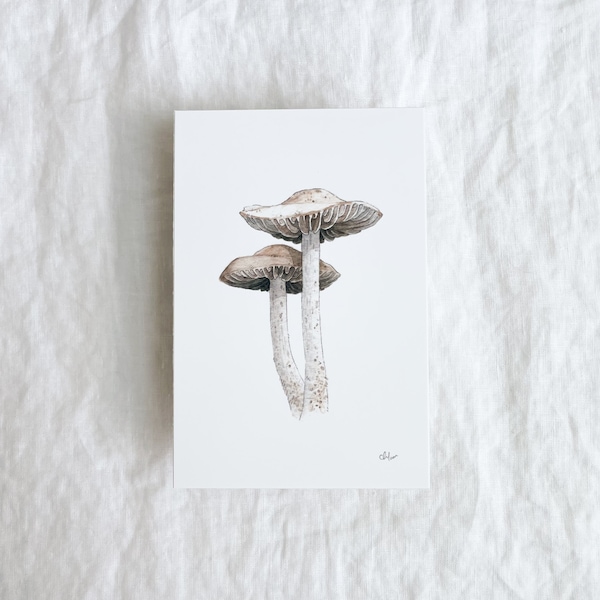 Fairy Ring Mushrooms Mini Print 4x6