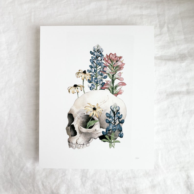 May include: A white skull with a blue and pink flower arrangement on top. The flowers are bluebonnets, Indian paintbrush, and black-eyed Susans.