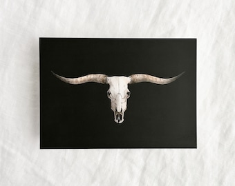 Texas Longhorn Skull Postcard