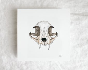 Cat Skull Mini Print 5x5