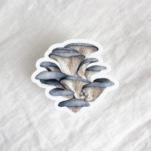 Blue Oyster Mushrooms Sticker