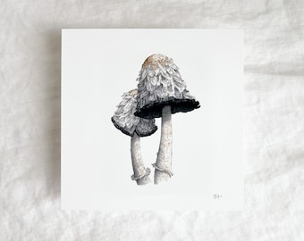 Shaggy Mane Mushrooms Mini Print 5x5