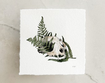 Spirit & Bone Original 6x6