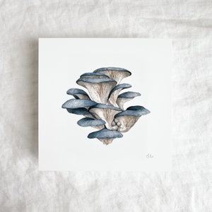 Blue Oyster Mushrooms Mini Print 5x5