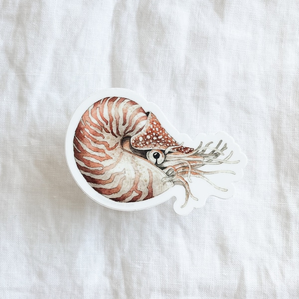 Nautilus Sticker