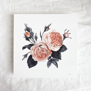 Impression rose de jardin 8x8