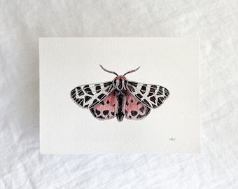 Virgin Tiger Moth Original 5x7