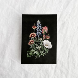 Cartão Postal Onde Flores Florescem