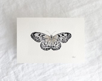 Paper Kite Butterfly Original 4x6