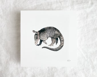 Armadillo Mini Print 5x5