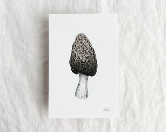 Morel Mushroom Mini Print 4x6