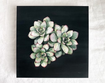 Echeveria Print 8x8
