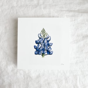 Bluebonnet Mini Print 5x5