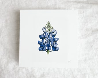 Bluebonnet Mini Print 5x5