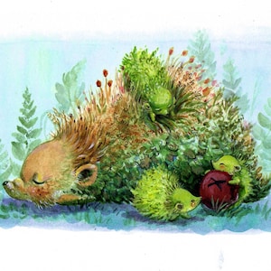 Hedgehog-Nap Time- Enchanted Forest, -print - 5x7, 8x10, 11x14, arte infantil