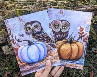 Owl and Pumpkin Art, white or orange pumpkin- 8"x10", 5"x7" Prints- Autumn / fall painting