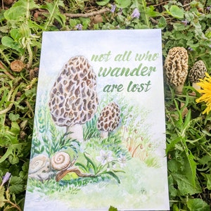 Morel Mushroom Painting- print - 5x7, 8x10, 11x14, Morchella, mushroom decor, Mushroom art, Botanical-