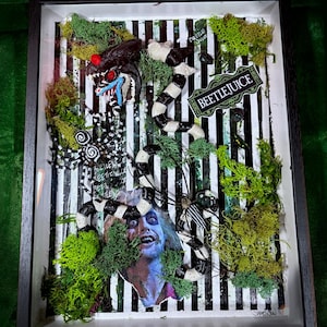 May include: Framed artwork featuring a black and white striped background with green moss and various Beetlejuice-themed elements. Includes a character portrait, a black and white striped snake, and the text "BEETLEJUICE".