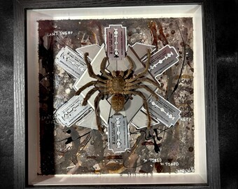 Exuviae & Edge - IV/VIII Haplopelma Tarantula Surrounded by Razors