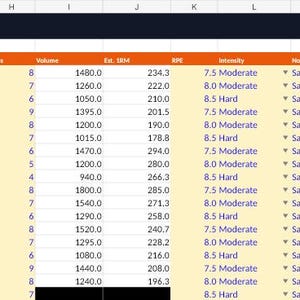 May include: A digital spreadsheet titled DYNAMIC WORKOUT LOG / PROGRESSIVE OVERLOAD, featuring columns for date, day, workout type, exercise, set, weight, reps, volume, e1rm, rpe, intensity, notes, and pr, with rows detailing specific weightlifting data.