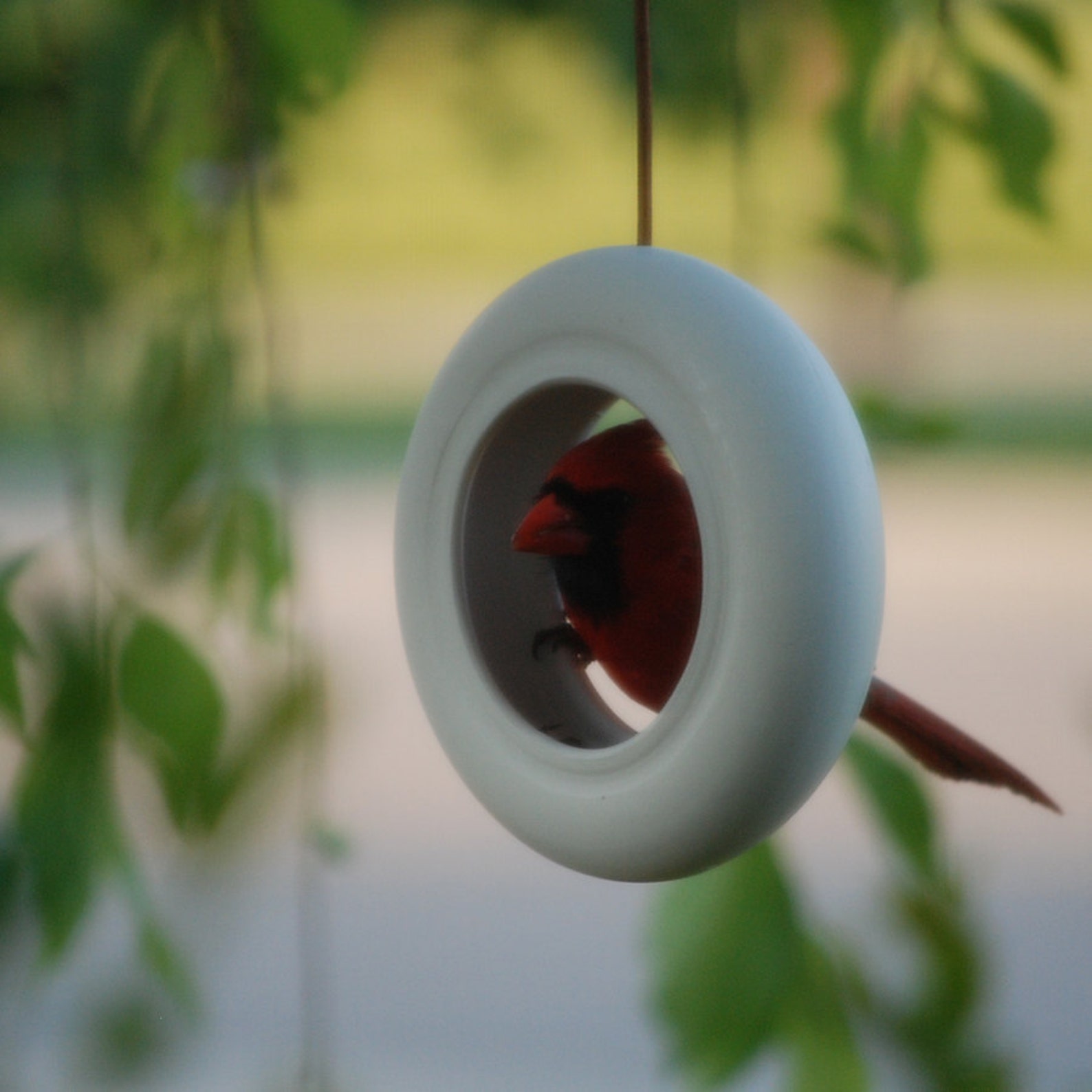 Modern Round Bird Feeder Etsy