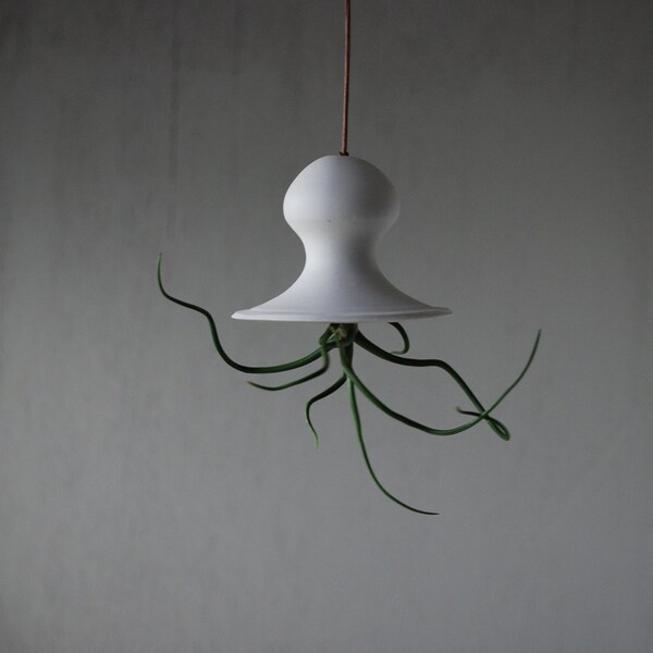 Hanging Air Planter - Handmade Ceramic - Squash Blossom with Tillandsia Air Plant