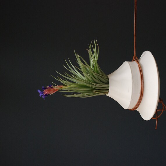 Items similar to Hanging Air Plant Holder on Etsy