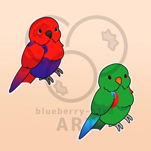 May include: Two cartoon bird illustrations. One bird is red with purple accents, the other is green with blue accents. The birds are on a light peach background with the text "blueberry-bird ART".