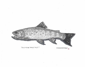 Blue Ridge Brook Trout - Original fly fishing trout drawing by Jonathan Marquardt