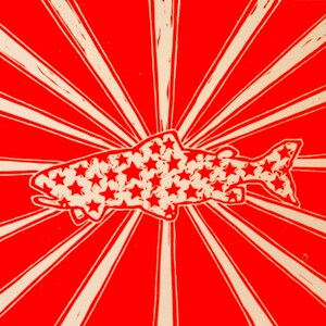 Patriot Trout - Flyfishing trout artwork by Jonathan Marquardt