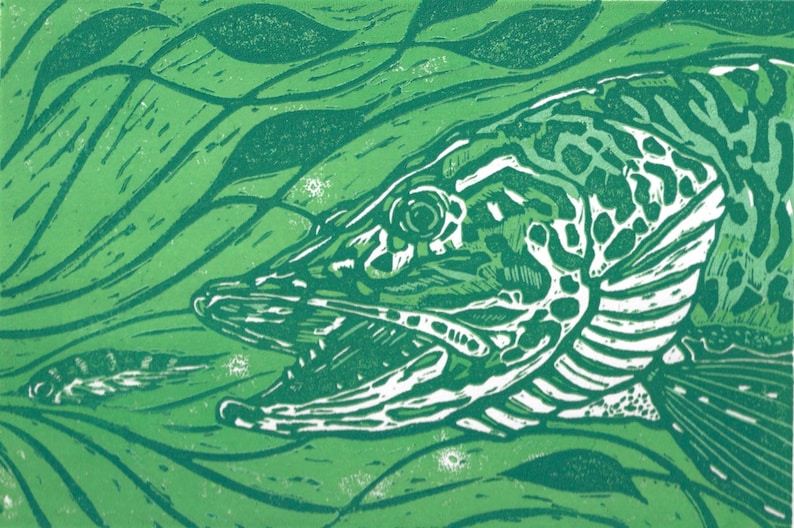 Shoulders Musky fly fishing original reduction linocut art by Jonathan Marquardt image 1