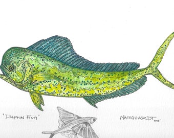 Dolphin - Mahi Mahi original micron pen and watercolor fly fishing artwork by Jonathan Marquardt