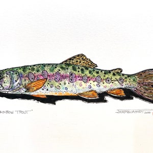 Rainbow Trout Original Drawing Pen and Ink
