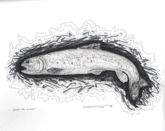 Under the Willow - Original micron pen drawing - Trout - Fly Fishing original artwork by Jonathan Marquardt