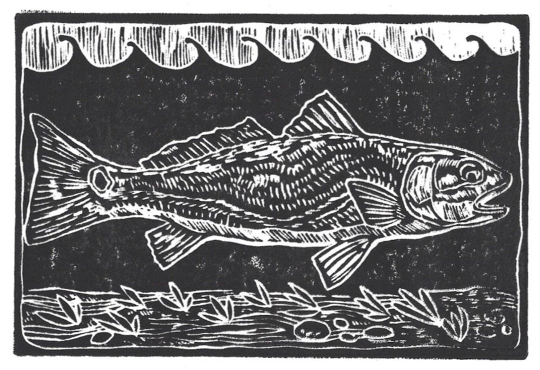 Redfish - Original Fly Fishing Linocut Artwork by Jonathan Marquardt - Etsy