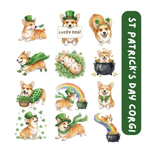 12 St Patrick Day Corgi Clipart, hund PNG digitala klistermärken