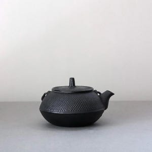 以下が含まれることがあります： マットブラックの鋳鉄製ティーポット。上部にテクスチャ加工された突起模様が施されています。丸みを帯びた底面、短い注ぎ口、両サイドの小さなハンドル、そして中央にノブが付いた円形の蓋が特徴的なデザインです。