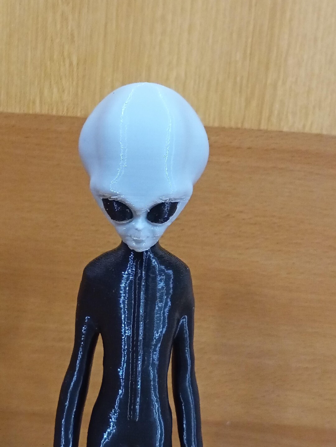 Grey Alien Files : Future Human and Aliens Figurine 3D Printed Painted ...