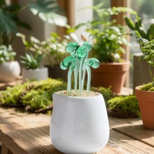 Könnte beinhalten: Ein weißer Keramik-Pflanzentopf mit einer Ansammlung grüner Glas-Pflanzenbewässerungskugeln. Die Kugeln haben die Form einer Pflanze. Der Topf steht auf einem Holztisch mit anderen Topfpflanzen im Hintergrund.