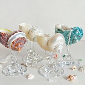 Peut inclure: Plusieurs verres à pied en verre transparent, chacun orné d'une coquille naturelle en guise de coupe. Les coquillages sont de couleurs variées, dont blanc, marron et turquoise, et sont agrémentés de rangées de perles. Des coquillages et de petits morceaux de verre sont dispersés.