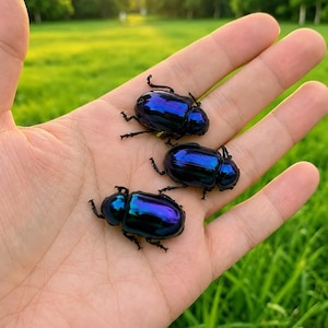 May include: Three iridescent beetles with a metallic blue and purple sheen. Each insect features a smooth, rounded exoskeleton and six small black legs. The beetles are positioned in a cluster, displaying a vibrant, reflective surface texture.