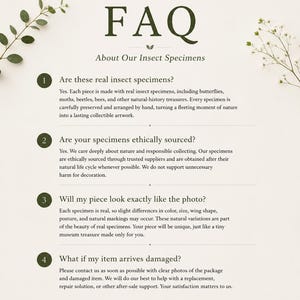 May include: An informational FAQ document titled FAQ About Our Insect Specimens, featuring dark green text on a light background. It includes four numbered questions regarding the authenticity, ethical sourcing, natural variation, and damage policy.