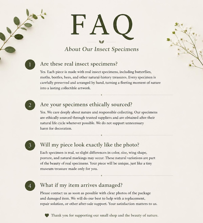 May include: An informational FAQ document titled FAQ About Our Insect Specimens, featuring dark green text on a light background. It includes four numbered questions regarding the authenticity, ethical sourcing, natural variation, and damage policy.